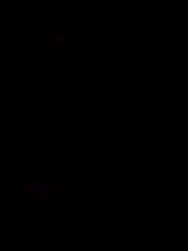 Snapshot of honorhorny chatting on 02/05/26, 11:00 honorhorny online show from 02/05/26, 11:00