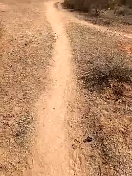 Tamilpaiyan07 online show from 02/08/26, 05:49