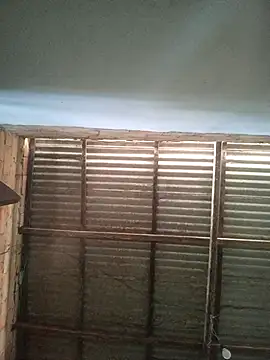 gingavi online show from 01/06/26, 07:18