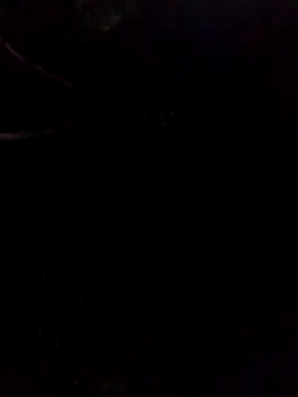 Snapshot of gingavi chatting on 05/17/26, 01:16 gingavi online show from 05/17/26, 01:16