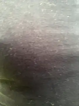 bety13 online show from 06/15/26, 04:06