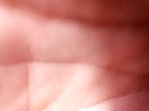 mellzinhacasada online show from 02/16/26, 05:00