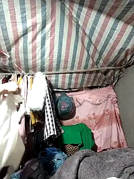 Lucky cutee online show from 01/17/26, 04:49