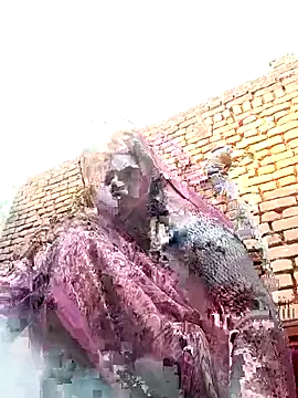 Rakhi cut online show from 01/12/26, 03:02