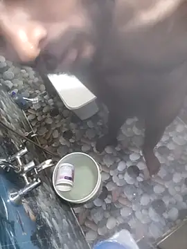 hydhunk26 online show from 02/17/26, 06:44