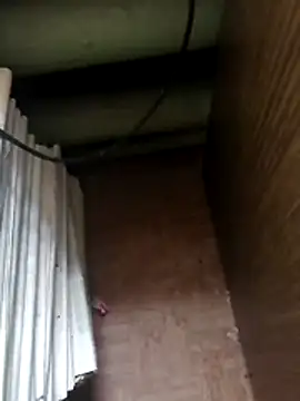 Tata and Joker online show from 04/10/26, 12:34