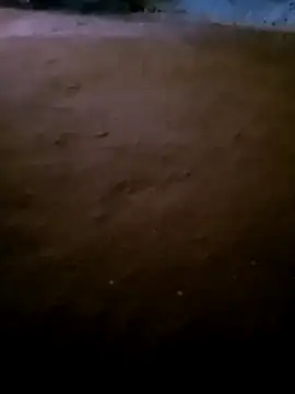 Kajal sexe online show from 12/21/25, 03:52