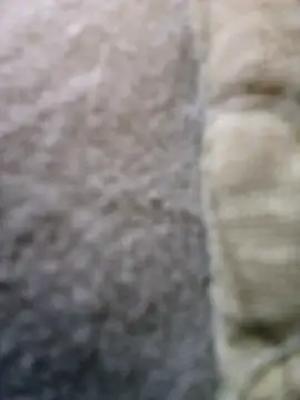 FragrantToe529 online show from 02/16/26, 05:44