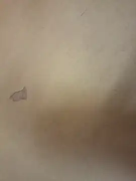 Snapshot of yourburget chatting on 02/19/26, 02:25 yourburget online show from 02/19/26, 02:25