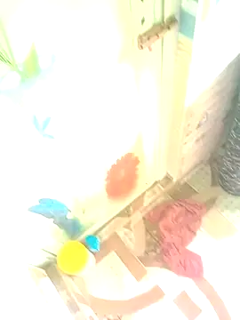 Hooghlypinkivabi online show from 01/10/26, 07:36