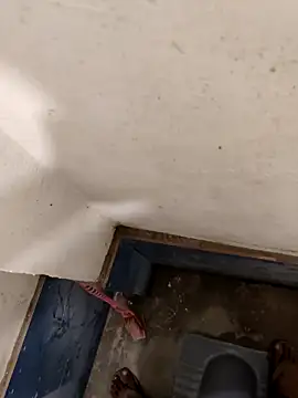 good7685 online show from 12/21/25, 05:14