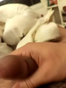 Snapshot of kingmiko12 chatting on 01/14/26, 04:21 kingmiko12 online show from 01/14/26, 04:21