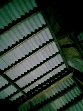 DIANAKUTE online show from 04/07/26, 10:33