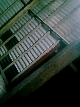 DIANAKUTE online show from 02/12/26, 01:33