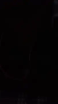 wild dick in online show from 12/22/25, 07:19