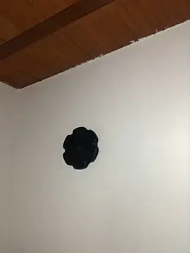 seth c online show from 03/21/26, 06:12