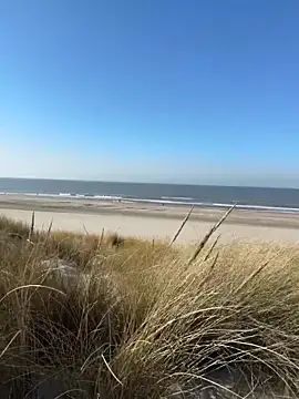 friemeldepiemel online show from 03/05/26, 01:19