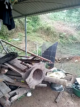 Snapshot of congchua977 chatting on 03/18/26, 11:59 congchua977 online show from 03/18/26, 11:59