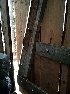 Snapshot of congchua977 chatting on 03/08/26, 02:04 congchua977 online show from 03/08/26, 02:04