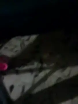 Antras92 online show from 01/12/26, 01:45