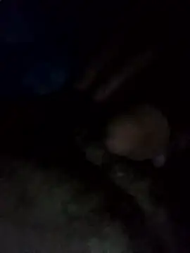 EchoedPerusing online show from 01/11/26, 11:44