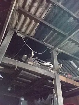 Snapshot of dakota-kis chatting on 03/30/26, 11:44 dakota-kis online show from 03/30/26, 11:44