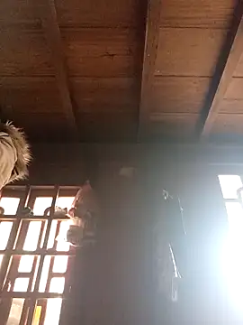 Snapshot of dakota-kis chatting on 03/21/26, 01:29 dakota-kis online show from 03/21/26, 01:29