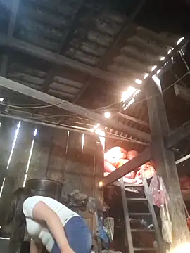 Snapshot of dakota-kis chatting on 03/19/26, 12:43 dakota-kis online show from 03/19/26, 12:43