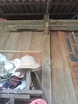 Snapshot of dakota-kis chatting on 04/11/26, 07:45 dakota-kis online show from 04/11/26, 07:45