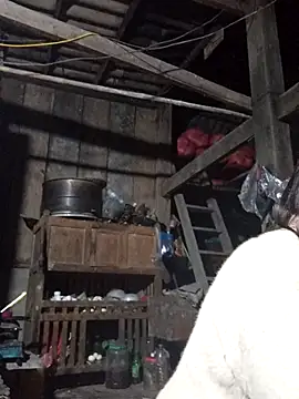 dakota-kis online show from 01/17/26, 12:42