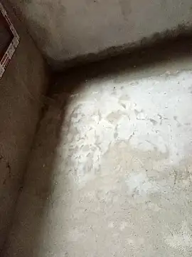 dakota-kis online show from 02/14/26, 11:49