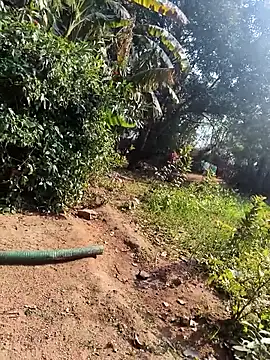 janbi sexe online show from 01/14/26, 05:44