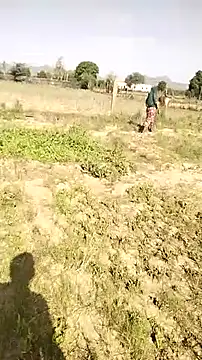 hornycouple20000 online show from 04/10/26, 03:35