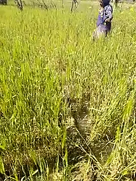 Snapshot of hornycouple20000 chatting on 01/14/26, 07:34 hornycouple20000 online show from 01/14/26, 07:34