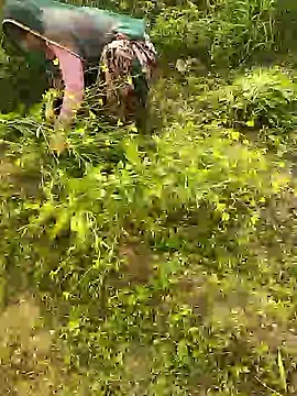 Snapshot of hornycouple20000 chatting on 01/08/26, 05:46 hornycouple20000 online show from 01/08/26, 05:46