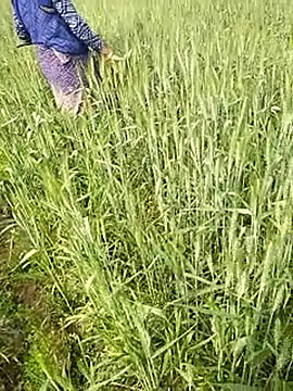 Snapshot of hornycouple20000 chatting on 02/01/26, 06:44 hornycouple20000 online show from 02/01/26, 06:44