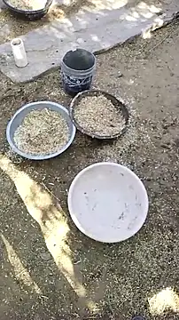 hornycouple20000 online show from 04/09/26, 03:41