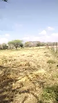 hornycouple20000 online show from 03/20/26, 05:08