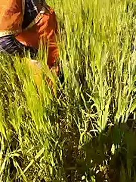 Snapshot of hornycouple20000 chatting on 01/15/26, 07:12 hornycouple20000 online show from 01/15/26, 07:12