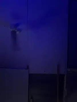 Bigbrowneyes25 online show from 03/09/26, 05:00