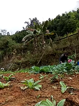 Hiniyk2 online show from 02/13/26, 01:38