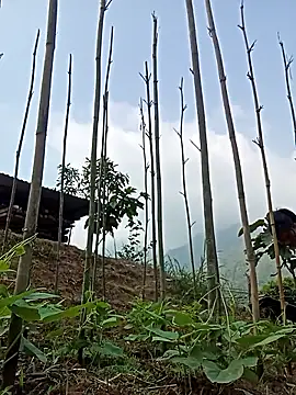 Hiniyk2 online show from 03/24/26, 02:11