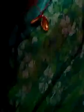 Snapshot of ramya_sri chatting on 02/02/26, 09:30 ramya sri online show from 02/02/26, 09:30