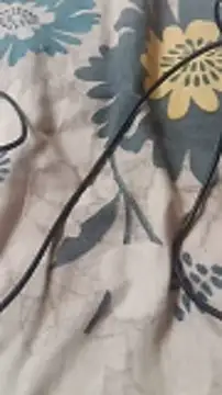 Honey lily-93 online show from 07/14/26, 07:24