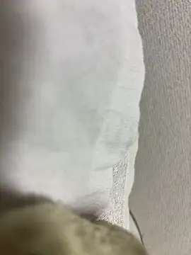 Snapshot of maonyan6 chatting on 02/13/26, 09:31 maonyan6 online show from 02/13/26, 09:31