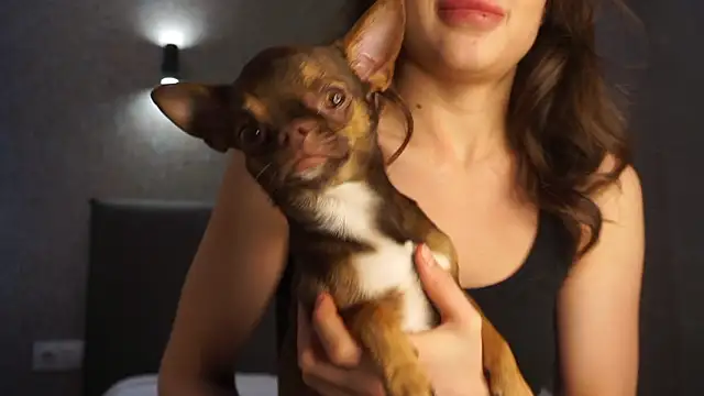 linclars online show from 03/06/26, 01:39