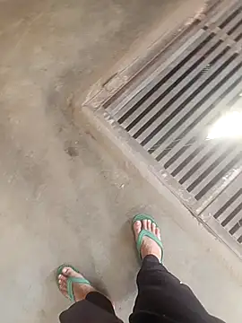 daksh  8 inche online show from 02/26/26, 05:07