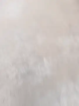 daksh  8 inche online show from 04/07/26, 01:51