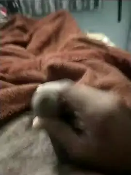 Snapshot of arsdeep1989 chatting on 01/13/26, 03:32 arsdeep1989 online show from 01/13/26, 03:32