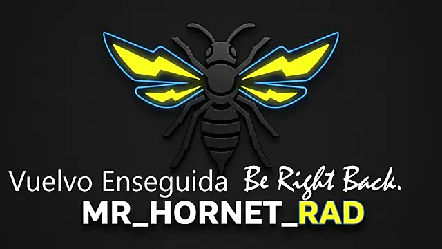 Snapshot of s_hornet chatting on 05/04/26, 01:14 s hornet online show from 05/04/26, 01:14